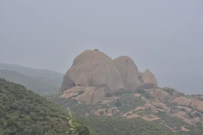 DSC_6845 (Large).JPG